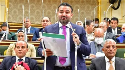 برلماني: قرار الرئيس بالإفراج عن الغارمين يعزز حالة حقوق الإنسان 