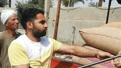 بـ 800 جنيه للأردب.. بدء توريد محصول القمح للشون والصوامع بسوهاج (صور) 