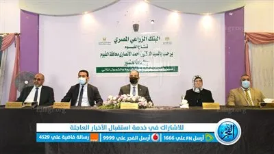 محافظ الفيوم يسلم كوبونات المساعدات المالية لعدد من السيدات الأولى بالرعاية