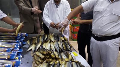 ضبط 43 طن لحوم وأسماك في حملات الرقابة البيطرية على الأسواق بالغربية (صور)