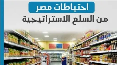 بالانفوجراف.. إحتياطات مصر من السلع الاستراتجية 