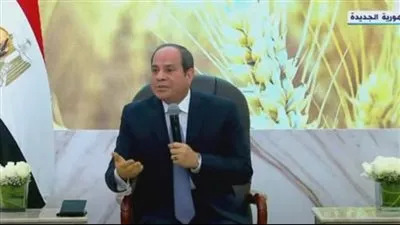 السيسي يكشف الدور المصري في حل الأزمة 