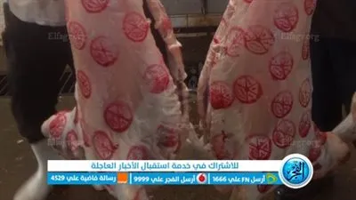 رفع درجة الاستعداد القصوى بجميع مجازر الفيوم وتدعيمها بالأطباء البيطريين 