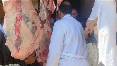  ضبط 137 كجم من اللحوم والأسماك والدواجن غير الصالحة للاستهلاك الآدمى بأسوان