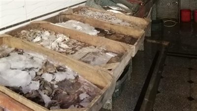 حملة على محال بيع “الفسيخ” في نبروه بالدقهلية تزامنًا مع “شم النسيم” 