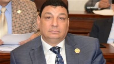 برلماني: التنمية الشاملة لسيناء هي جائزة الدولة الحقيقية في الذكرى الأربعين لتحريرها