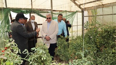 وزير الزراعة ومحافظ القليوبية يتفقدان صوب المشروع القومي لإنتاج التقاوي بمدينة قها