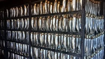 «الصحة» تنجح في ضبط 81 طن أغذية مشكوك في صلاحيتها قبل تداولها في الأسواق