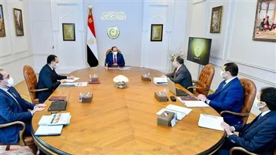 الرئيس السيسى يتابع ميكنة المنظومة الجمركية والالتزام بالمعايير الدولية للواردات 