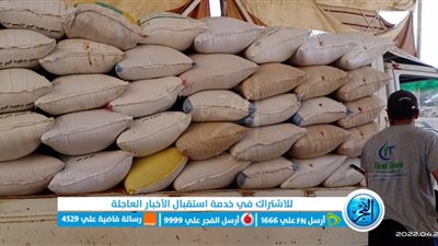 شون وصوامع كفر الشيخ تستقبل 5464 طن قمح