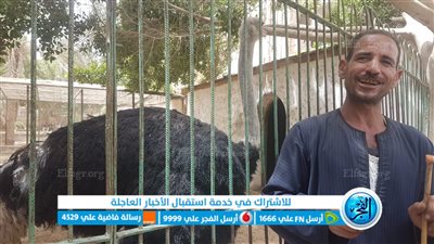 في أول أيام عيد الفطر.. إقبال كبير على حديقة الحيوان بالفيوم 