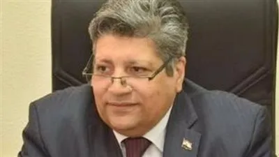 التنمية المحلية تطمئن المواطنين بتوافر السلع خلال العيد (فيديو)