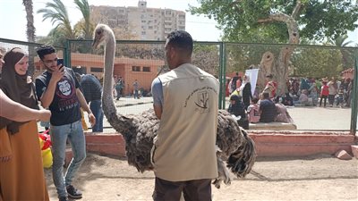 من القلعة إلى حديقة الحيوان بالإسكندرية.. فسحة المصريين في ثالث أيام عيد الفطر المبارك (فيديو)