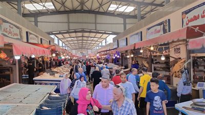 سوق الأسماك الجديد ببورسعيد يشهد إقبالًا كبيرًا من المواطنين (صور)