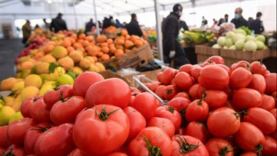 رئيس شعبة المستوردين: ليس من الصحيح تسعير المنتجات وقت الأزمات وفقا للعرض والطلب