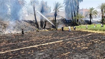 السيطرة على حريق في أشجار النخيل والهيش بالقرب من الممشى السياحي بالغردقة 