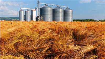 خلال 8 سنوات.. التموين: تطوير 12 مطحن وصومعة وتنفيذ 22 منطقة لوجستية في 11 محافظة