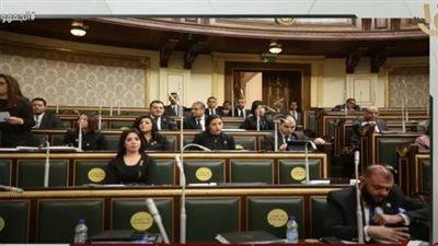 برلماني يدين الحادث الإرهابي: محاولة يائسة من الإرهاب في مصر (فيديو)