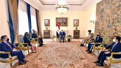الرئيس السيسي يؤكد أهمية التعاون العسكرى المشترك بين مصر والولايات المتحدة 