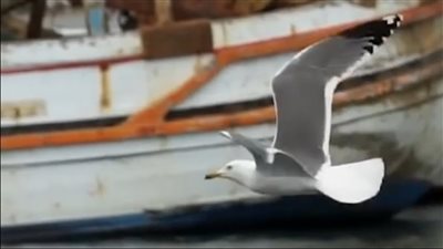 “في عيدها القومي” تعرف على أبرز المعالم الأثرية والسياحية لمحافظة دمياط 