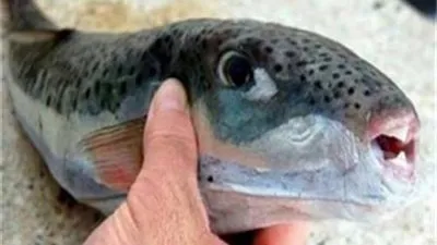 الصحة تُحذر من الحصول على النصائح الطبية من مواقع التواصل (فيديو)