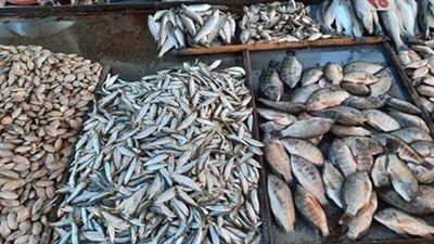 أسعار الأسماك اليوم الجمعة 8-7-2022