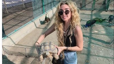 هنا الزاهد تحمل سلحفاة في أحدث ظهور