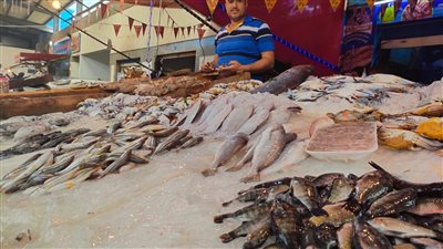 أسعار السمك في الأسواق اليوم الأربعاء 20-7-2022 