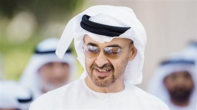 جمعية الصحفيين الإماراتية تكشف كواليس انتقال مقاليد الحكم في البلاد (فيديو)