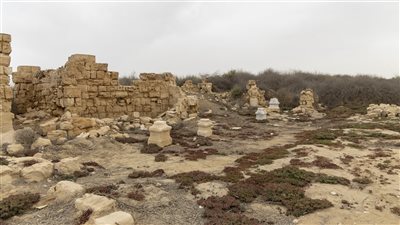 السياحة والآثار: بدء تأهيل موقع أبو مينا الأثري ببرج العرب للزيارة