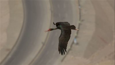 البيئة: إشادة عالمية بدور الحكومة المصرية في العمل مع المجتمع المدني بموقع الجلالة