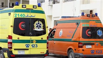 خنقهما بالإيشارب وشنق نفسه.. تفاصيل جديدة في مذبحة الصف الأسرية