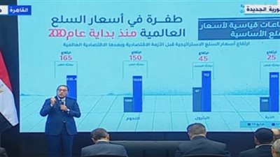 عاجل.. السيسي يكلف الحكومة بإعلان خطتها للتعامل مع الأزمة الاقتصادية