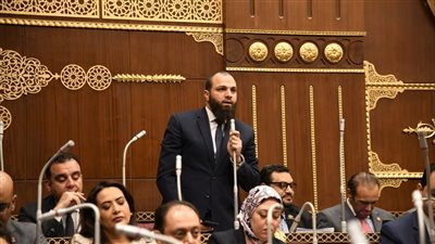 نائب التنسيقية يطالب بخطة لرعاية المبتكرين واستدامة المشروعات التكنولوجية 