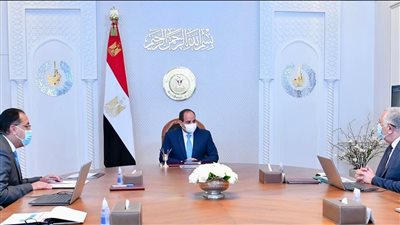 عاجل.. السيسي يصدر توجيها جديدا لوزير الزراعة
