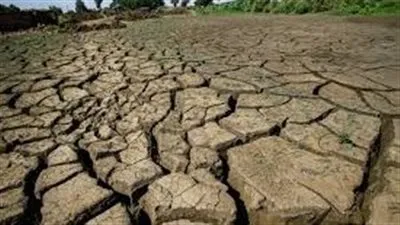 بسبب جفاف القرن الإفريقي.. الأمم المتحدة تحذر من خسائر في الأرواح