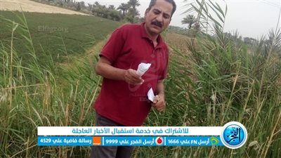 وكيل زراعة الفيوم: انطلاق حملات تطهير انتشار القوارض بالمحاصيل الزراعية عقب الحصاد 