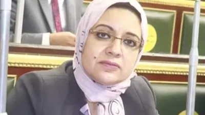 نائبة أسوان تدعو لزيادة التواجد الأمني لاحتواء توابع 