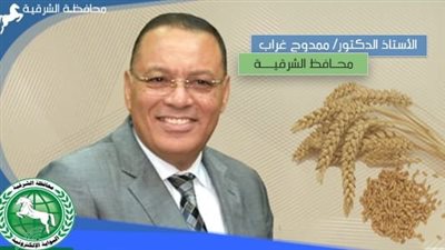 وسط أجواء من الفرحة... صوامع الشرقية تستقبل 27ألف طن قمح بيوم واحد