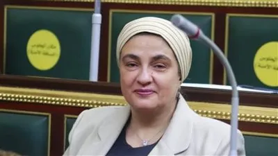 برلمانية: توجيهات الرئيس بشأن الشركات الناشئة سينعكس إيجابيا على الاقتصاد 