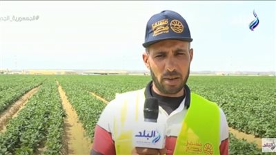 أحد المزارعين بمشروع مستقبل مصر: 