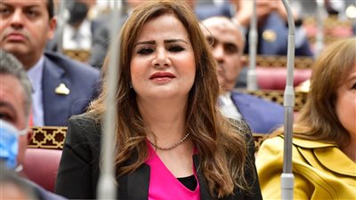 برلمانية: مشروع 