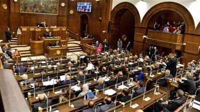 برلماني: مشروع مستقبل مصر يساعد على سد الفجوة الغذائية