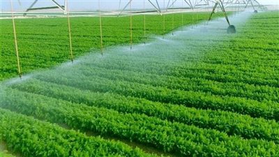 التنمية: تكلفة مشروعات حياة كريمة تصل إلى ترليون جنيه