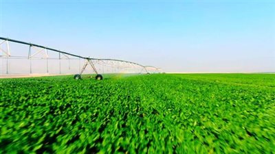 مدير مستقبل مصر الزراعي: الأراضي المستصلحة في المشروع تزيد عن 1.5 مليون فدان