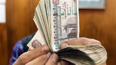 سهر الدماطي تكشف حقيقة رفع سعر الفائدة على القروض القديمة 