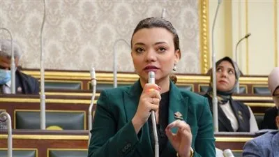 نائبة التنسيقية: جرائم غسل الأموال تستهدف ضرب اقتصاديات الدول 