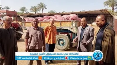 بسبب القدرة الاستيعابية.. إيقاف توريد الأقماح بشونة دار السلام بسوهاج