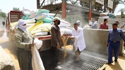 دون معوقات.. توريد 57 ألف طن أقماح بشون وصوامع سوهاج