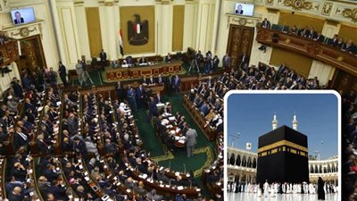 أبرزها حماية المواطنين من الإعلانات الوهمية.. 8 أهداف لقانون 